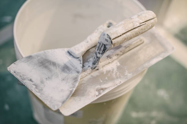 Professional Mold Removal in Westminster, CA