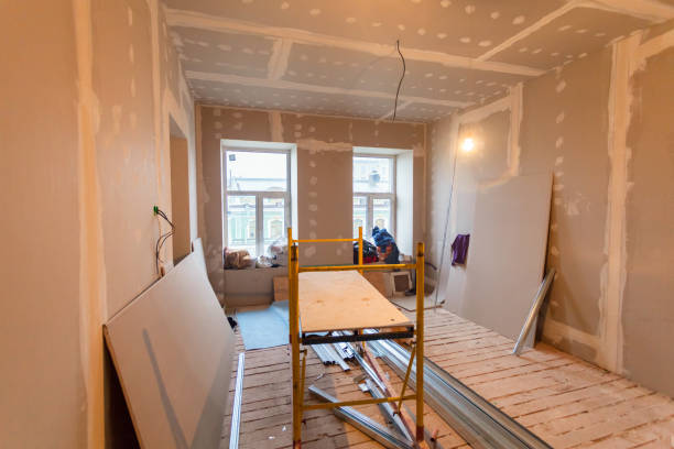 Best Basement Mold Removal  in Westminster, CA